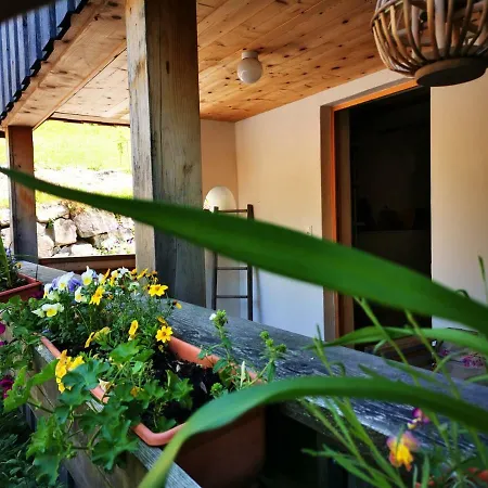Ferienwohnung Belle Martha Appartement Dornbirn